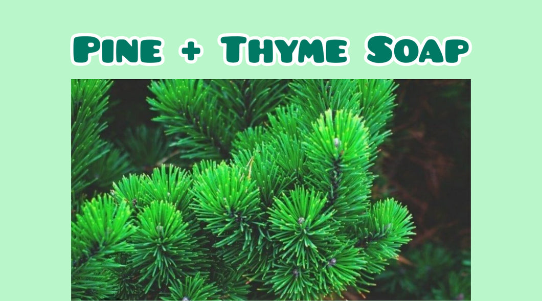 Pine + Thyme Soap